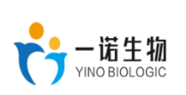 Shandong Yino